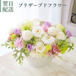 プリザーブドフラワー アレンジメント【-elderwhite- エルダーホワイト】やわらかいエルダーフラワーのような白さをベースに、 やさしい色を差し色にしたプリザーブドフラワーのアレンジメント　誕生日 花 プレゼント お礼 お祝い 本物 グリーン ナチュラル ギフト 送料無料 お礼 プリザーブド プレゼント おしゃれ リビング インテリア 枯れない花 土日発送 母の日 敬老の日 お中元 お歳暮