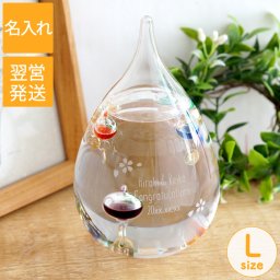 【 送料無料 】【 名入れ ガリレオ温度計 Lサイズ 】インテリア 雑貨 温度計 おしゃれ かわいい 置物 名前入り 名入り ギフト 誕生日 プレゼント 人気 開店祝い 開業祝い サロン カフェ 美容室 飲食店 周年 記念品 贈り物 おすすめ お祝い 