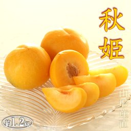 すもも 秋姫 中玉(L〜2L)×11～14玉 約1.2kg 黄色 プレミアム 送料無料 プラム 李 スモモ ぷらむ おとりよせ お取り寄せ 取寄せ 山形産 ふるさと 産直 高級 フルーツ ギフト プレゼント 内祝い 内祝 贈答 お彼岸 お供え 御供 手土産 果物 果実 くだもの 誕生日 お礼