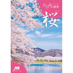 たびもの撰華 桜  カタログギフト
