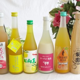 果実酒6本セット ヨーグルト梅酒(福岡県)×ゆず梅酒(福岡県)×ももとろリキュール(福島県)×日本酒オレンジ(三重県)×梨園(大分県）×日向夏（宮崎県） 500ml×4本 720ml×2本