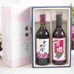 実りの秋の贈り物 感謝の贈り物ボックス 国産やや甘口赤ワインと国産ワインセット(酸化防止剤無添加 有機あずさ赤ワイン 中口(長野県)720mlヴィンテージ実りの収穫 赤ワイン720ml