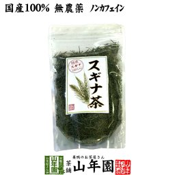 【国産 100%】スギナ茶 70g 無農薬 ノンカフェイン 宮崎県産 すぎな茶 健康茶 妊婦 ダイエット 贈り物 ギフト プレゼント プチギフト お茶 敬老の日 御中元 2026 内祝い お返し