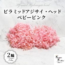 宅急便で発送 大地農園！プリザーブドフラワー 「ソフトピラミッドアジサイ ベビーピンク 2輪分」 プリザ アジサイ 紫陽花 花材 ハーバリウム おしゃれ かわいい プレゼント 贈り物 オオチノウエン ソフトピラミッドアジサイ・ヘッド