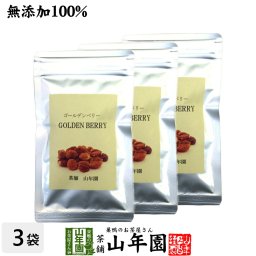 【無添加100%】ゴールデンベリー 100g×3袋セット ペルー産またはコロンビア産 ダイエット ほおずき インカベリー サプリ ドライフルーツ スープ スムージー スーパーフード 苗 セット ギフト プレゼント プチギフト お茶 敬老の日 2026 内祝い