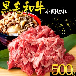 【訳あり】 九州産 黒毛和牛 切り落とし 500g 牛丼 炒めもの 国産牛 お肉 牛肉 冷凍 国産 WAGYU【送料無料】 【冷凍便でお届け】