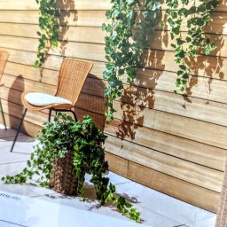 人工観葉植物　屋外用アイビーバイン　フェイクグリーン　送料無料