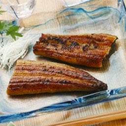 国産 うなぎ 鰻 焼きうなぎ 蒲焼き ウナギ 蒲焼 国内産 静岡 特製タレ お茶 かつおだし 贅沢 高級 グルメ お取り寄せ ギフト 贈り物 お中元 お歳暮 父の日 母の日 敬老の日 4食 120g 4パック 冷凍