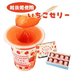 えちごひめ いちご ゼリー　12個セット 越後姫 苺 イチゴ フルーツ 果物 ゼリー シャーベット くだもの 贈答 ギフト 贈り物 新潟　今川屋
