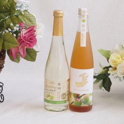 果物酒2本セット(シャインマスカット＆ナイアガラ 日本酒仕込梅酒) 500ml×2本
