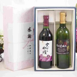 実りの秋の贈り物 感謝の贈り物ボックス 国産やや甘口赤ワインと国産ワインセット(甲州遅摘み 白 完熟甘口ワイン 甘口(山梨県)720mlヴィンテージ実りの収穫 赤ワイン720ml