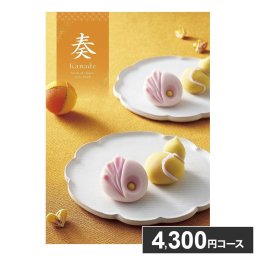 カタログギフト 奏 朝凪(あさなぎ) 4300円コース 包装済 ギフト 結婚式 結婚祝い サプライズ 出産祝い 誕生日 プレゼント 合格祝い 卒業式 卒園 卒業祝い 長寿祝い(代引不可)【送料無料】