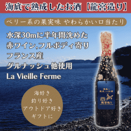 海底で熟成した赤ワイン フルボディ寄り【ベリー系の果実味 やわらかい口当たり】#19 お酒 敬老の日 ハロウィン クリスマス お歳暮 誕生日 記念日 内祝い 結婚祝い お返し