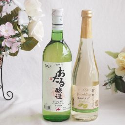 おたる生葡萄100%ナイアガラワインと国産ワイン2本セット(おたる醸造ナイアガラ白ワイン720ml信州シャインマスカット＆ナイアガラ スパークリングワインやや甘口(長野県)500ml
