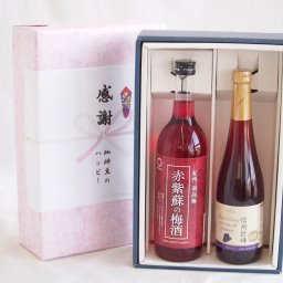 実りの秋の贈り物 感謝の贈り物ボックス 鮮やかなルビー色赤紫蘇の梅酒と国産ワインセット(信州巨峰スパークリングワイン やや甘口(長野県)500ml和歌山県 赤紫蘇の梅酒12度 720ml