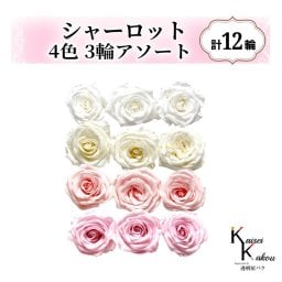 大地農園！プリザーブドフラワー「シャーロット 4色×3輪アソート 計12輪」「ピュアホワイト アンティックホワイト ブライダルピンク シャーベットピンク」プリザ 花材 ハーバリウム おしゃれ ピンク バラ かわいい プレゼント 贈り物 オオチノウエン