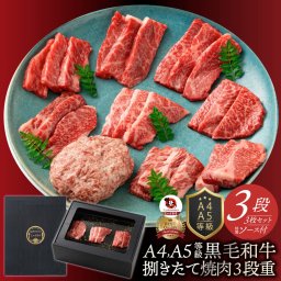 【A4,A5等級 黒毛和牛 3段 9種】【食べ比べ 焼肉 ハンバーグ】ギフトボックス 化粧箱 メッセージカード のしOK プレゼント ギフト 牛肉 送料無料(※一部地域を除く)