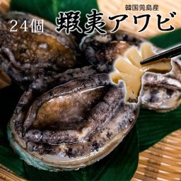 高品質 蝦夷アワビ24個  韓国ワンド産 [父の日/お歳暮/誕生日/あわび/鮑] 魚介類