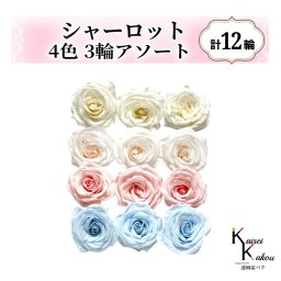大地農園！プリザーブドフラワー「シャーロット 4色×3輪アソート 計12輪」「アンティックホワイト ホワイトシャンパン ブライダルピンク ベビーブルー」プリザ 花材 ハーバリウム おしゃれ ピンク バラ かわいい プレゼント 贈り物 オオチノウエン