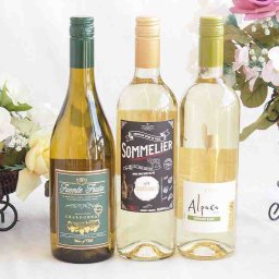 爽やかな酸味のチリ辛口白ワイン 3本セット(フルロッティ ソムリエ シャルドネ アルパカ ソーヴィニヨン ブラン フエンテ フルータ シャルドネ) 750ml×3本