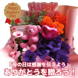 母の日 限定商品 鉢植え 人気 ベアー入  季節のお花お任せ  母の日 花 人気 プレゼント