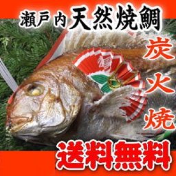 【送料無料】☆瀬戸内　天然焼鯛　炭火焼　７００ｇアップ☆【お食い初め　鯛】【祝い鯛】【祝い飾り付き】【鯛の塩焼き】【尾頭付き】