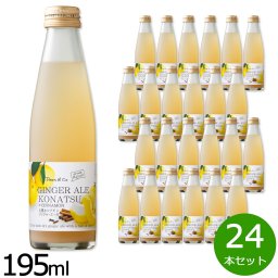 Dean＆Co. 小夏＆シナモンジンジャーエール 195ml×24本セット ジュース 炭酸飲料 スパークリング 果汁10 柑橘系 高知県 
