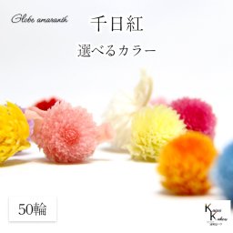 大地農園！プリザーブドフラワー 　50輪【千日紅　センニチコウ】ヘッドのみ　プリザ　花材 ハーバリウム おしゃれ かわいい プレゼント 贈り物　オオチノウエン