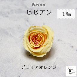 大地農園！プリザーブドフラワー 「ビビアン ジュリアオレンジ 1輪」  プリザ 花材 ハーバリウム  おしゃれ かわいい プレゼント 贈り物 オオチノウエン バラ 薔薇 ローズ rose