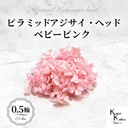 メール便で発送 大地農園！プリザーブドフラワー 「ソフトピラミッドアジサイ ベビーピンク 0.5輪分」 プリザ アジサイ 紫陽花 花材 ハーバリウム おしゃれ かわいい プレゼント 贈り物 オオチノウエン ソフトピラミッドアジサイ・ヘッド