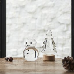 ウインター Fun Science クリスマス ストームグラス