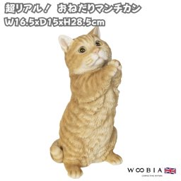 猫 置物 リアルでかわいい おしゃれ 大きい おねだりマンチカン ネコ 高さ28.5cm woobia ウービア ガーデン インテリア オブジェ 巨大 可愛い プレゼント 北欧 玄関 雑貨 動物 モダン 面白い 庭 ギフト 屋外 家 玄関先 ガーデンオーナメント