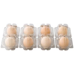 北坂たまご たまごまるごとプリン (KP-R8) ※送料無料(北海道・沖縄・離島への配送不可)