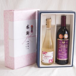 実りの秋の贈り物 感謝の贈り物ボックス林檎スパークリングと国産ワインセット(樽熟成松本メルロ赤ワイン フルボディ(山梨県)750ml果実の泡 北海道林檎スパークリング500ml 