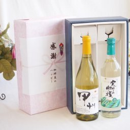 感謝の贈り物ボックス 勝沼甲州種ぶどう100%使用白ワインと国産ワインセット(実りの収穫 白辛口ワイン 辛口(山梨県)720mlシャンモリ柑橘香勝沼甲州白ワイン(山梨県)750ml