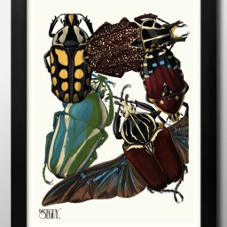 エミール=アラン セギー 昆虫 図鑑 A3 サイズ ポスター アート おしゃれ 絵画 インテリア 北欧 イラスト マット紙 艶消し アートパネル 額 フレーム デザイン 壁掛け ギフト 新築祝い ディスプレイ 引越し祝い　新生活　空間デザイン 