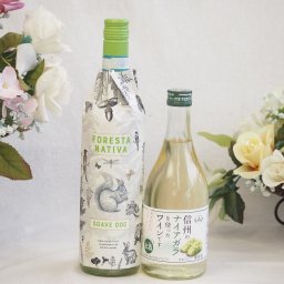 イタリアソアーヴェ白ワインと国産ワインセット(信州のナイアガラを使ったワインです甘口(長野県)500mlフォレスタ ナティヴァ ソアーヴェ (イタリア) 750ml