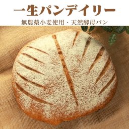 【天然酵母パン　一生パンデイリー】無農薬小麦使用　天然酵母パン　卵不使用　乳製品不使用