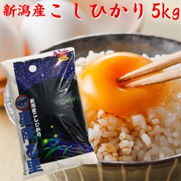 米 お米 5kg 新潟産 コシヒカリ 5kg 白米 精白米 コシヒカリ 米5k デラックス 5キロ 米 お米 こめ コメ 白米 [新潟産コシヒカリ/直送米/新潟/新潟県/米/こしひかり/コシヒカリ/新潟米/お取り寄せ/産地直送] 贈答 贈答用 贈答品 ギフト プレゼント