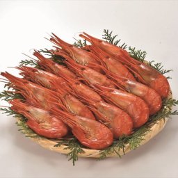 送料無料 北海道産地直送 丸高水産 厚岸産北海しまえび300g(ボイル)  ※ご注文後約7～10日前後での発送となります。沖縄・離島へは別途配送料が発生いたします お取り寄せグルメ スイーツ