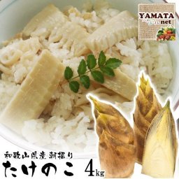 【予約】たけのこ 朝掘りタケノコ 和歌山県産 訳あり ご自宅用 4kg (ぬか付き) 2024年度産新 竹の子 【お届け指定日不可】【送料無料 (北海道,沖縄県除く)】 新鮮！朝堀りタケノコを和歌山県より産地直送！ 4月上旬または中旬頃よりご注文順に発送いたします。(天候の都合により3月末より発送する場合もあり)