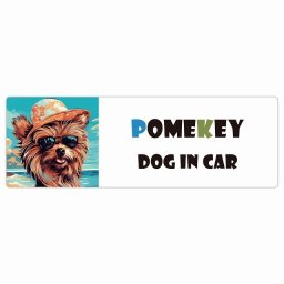 Pomekey ポメキー 犬 カーステッカー DOG IN CAR 海 麦わら帽子 サングラス 夏 20x6.7cm 長方形 防水 屋外 屋内 車ステッカー ステッカー 車 かっこいい おしゃれ かわいい バイク サインステッカー カーサイン