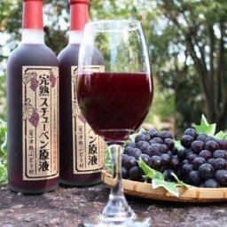 完熟 スチューベンジュース 原液 720ml 2本セット 送料無料 青森県産 ぶどう 果汁100％ 母の日 父の日 お中元 お歳暮 敬老の日 ハロウィン 青森県産 名産 果物 フルーツ ギフト 葡萄 贈答 青森 あおもり 訳あり ワケあり お土産 津軽ぶどう村【送料無料】