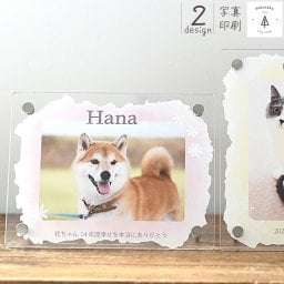 お悔やみペット 写真差し替え可 フォトフレーム 名入れ 写真差し替え可能 二枚重ねアクリル ペット供養 メモリアル 写真立て 犬 猫 命日 法要 贈り物 データ入稿型商品【L判メモリアルフォトフレーム】