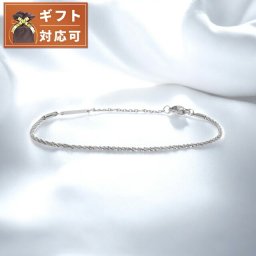 ダニエルウェリントン DANIEL WELLINGTON Elan Twisted Chain Bracelet S ブレスレット アクセサリー DW00400558 レディース シルバー