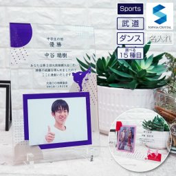 フォトフレーム 武道 ダンス DFS-1-sp9 名入れ 写真立て アームレスリング 合気道 エアロビクス 弓道 競技ダンス 剣道 社交ダンス 相撲 チアリーディング バトン なぎなた 日本拳法 バレエ ボディービル ヨガ プレゼント お祝い おしゃれ