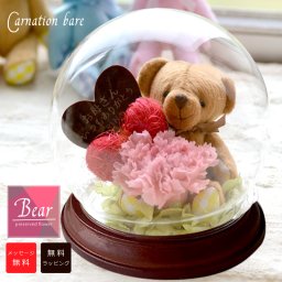 ★メッセージ入り　名入れ★ドーム型ROSA-カーネーションベア-(茶底）（枯れないお花） ＜メッセージ名入れ可能＞ ＜プリザーブドフラワー ドーム＞ ＜プリザーブドフラワー 名前入り＞ ＜母の日/プレゼント/バレンタインデー/ホワイトデー＞母の日プレゼント　名前入り