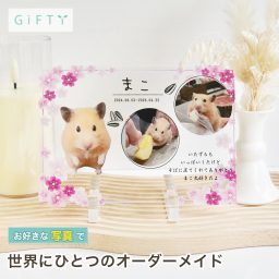 ペット アクリルパネル メモリアル 猫 デザイン プレゼント 贈り物 記念日 癒しのインテリア 思い出 おしゃれ 名入れ 写真の見せ方 愛犬家へ 感謝 ペットのいる暮らし 愛情表現 供養 癒しグッズ リビングに飾る 写真 高級感 ペットへの想い 上質 ギフト 写真加工 サプライズ 誕生日 ペットオーナーへ 仏壇代わりに 虹の橋 オリジナル 記念品 愛猫家へ うちの子 大切な家族へ【a48】