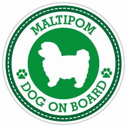 セーフティサイン ステッカー Dog on board MALTIPOM ポメマル グリーン 直径13cm あおり運転 対策 カーステッカー 煽り運転対策 自動車用 屋外 屋内 防水 かわいい おしゃれ 安全対策 カーサイン 肉球マーク