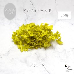 メール便で発送 大地農園！プリザーブドフラワー 「ソフトアナベルアジサイ グリーン 0.5輪分」 プリザ アジサイ 紫陽花 花材 ハーバリウム おしゃれ かわいい プレゼント 贈り物 オオチノウエン アナベルアジサイ・ヘッド